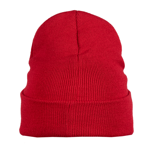 Patch Beanie Red